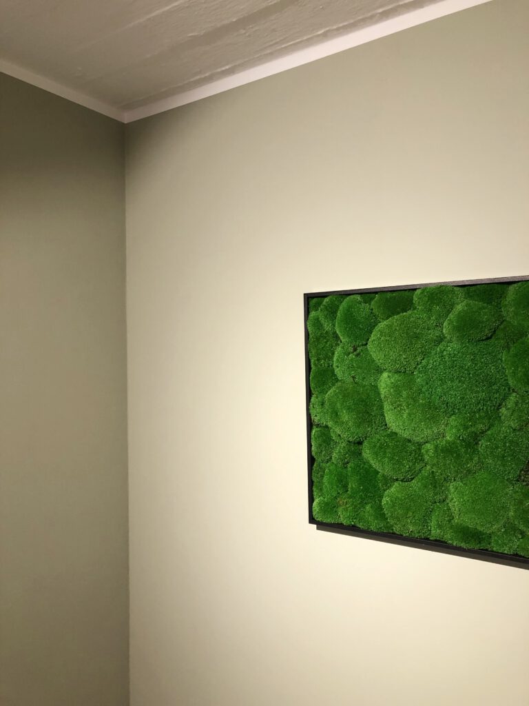 Raumecke mit Moosbild