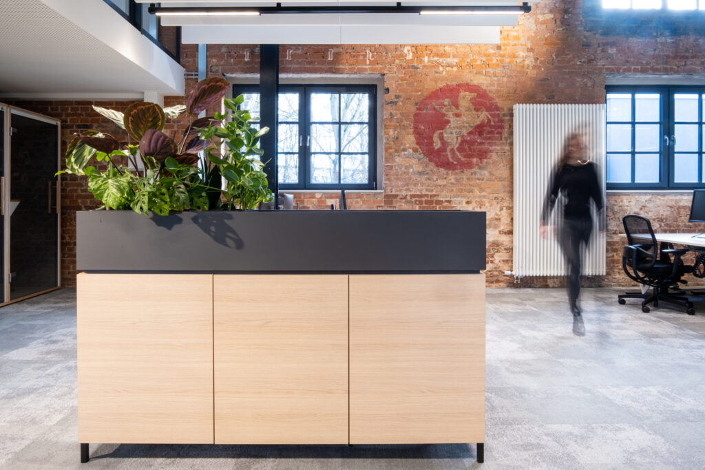 Sideboard mit Pflanzen und Mauerwerk